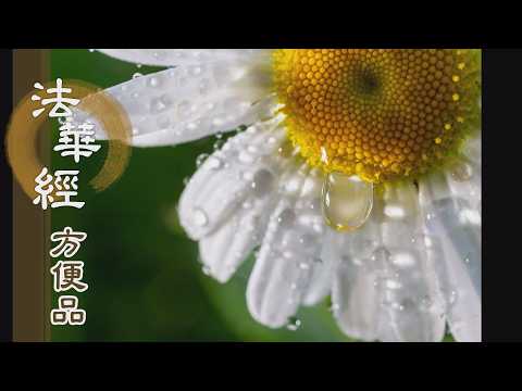 【靜思妙蓮華】法華經方便品第二 - 精修正法 福慧圓滿 - 第247集｜共修版