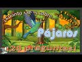 💡🦜¿Cuánto sabes sobre... PÁJAROS?🦉 ¡20 preguntas TEST!