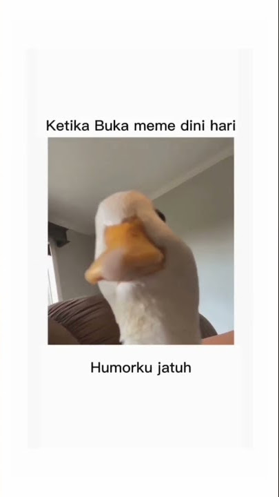bebek #bebek #memes #meme