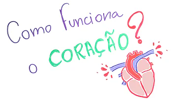 Qual é o verdadeiro papel do coração?