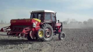 MASSEY FERGUSON WİTH THE CULTIVATION OF WHEAT...