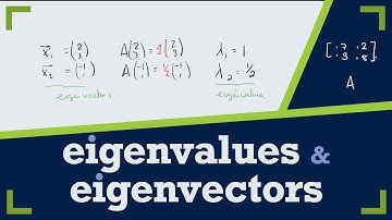 Introduction to CHARACTERISTIC POLYNOMIAL, EIGENVALUES and EIGENVECTORS // Lecture // Linear Algebra