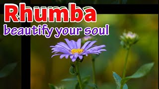 Rhumba melody, Soothing music that beautifies your soul and relieves stress, 80s music style
