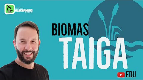 Qual é o clima da floresta de coníferas?