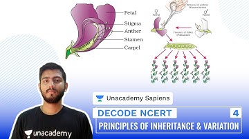 Principles of Inheritance & Variation Part 4 | Decode NCERT | NEET Biology | Sourav Sir | Unacademy