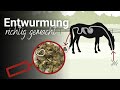 🐛Wann muss ich mein Pferd entwurmen?📆 | Entwurme ich zu viel oder zu wenig?🤷🏻♀️