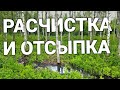 БОЛОТО 25 соток: Осушение и отсыпка, расчистка от леса и поросли.