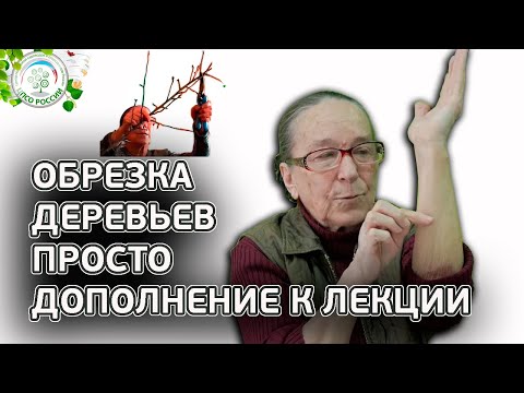 Обрезка деревьев. Дополнение к лекции по обрезке плодовых деревьев.