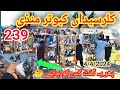 239  part 3  600700 rupe par kabootar mandi kallar syedan  latest update pigeon price  442024