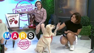Mars Pa More: Alice Dixson's tips on training your dogs easily