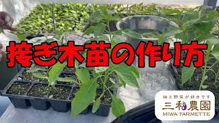 接ぎ木苗の作り方。作っている農家さんを見学してきました。NO386