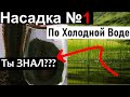 Супер Насадка для рыбалки по Холодной воде.Карась её не упустит.Рыболовные секреты.Насадка на карпа.