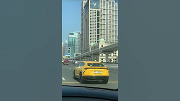 جولة في شوارع الامارات 
