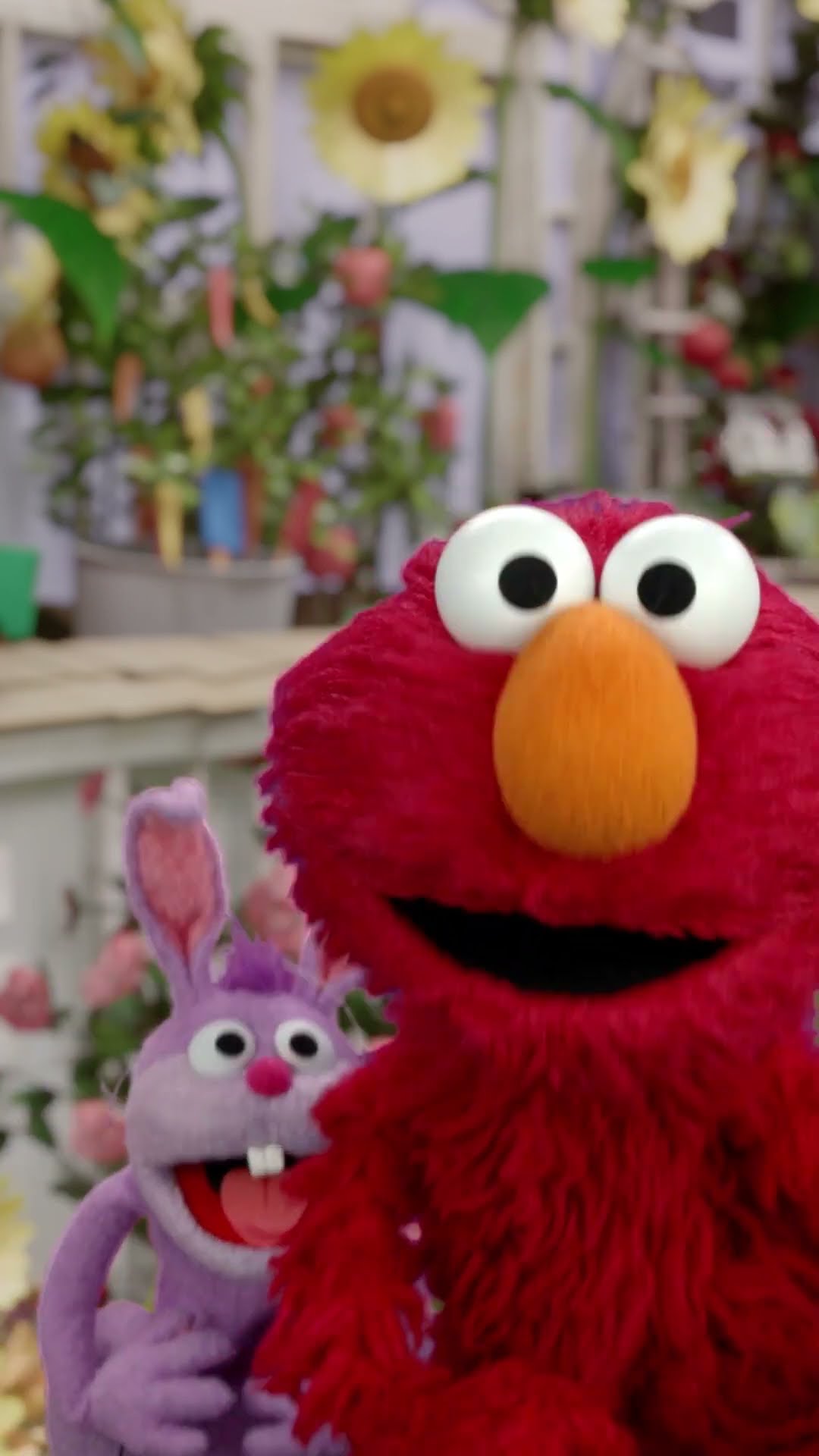 Hoppy Easter! ? #sesamestreet