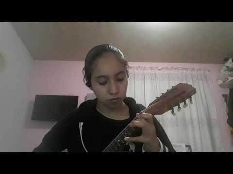 Winter- Vivaldi- mandolin cover