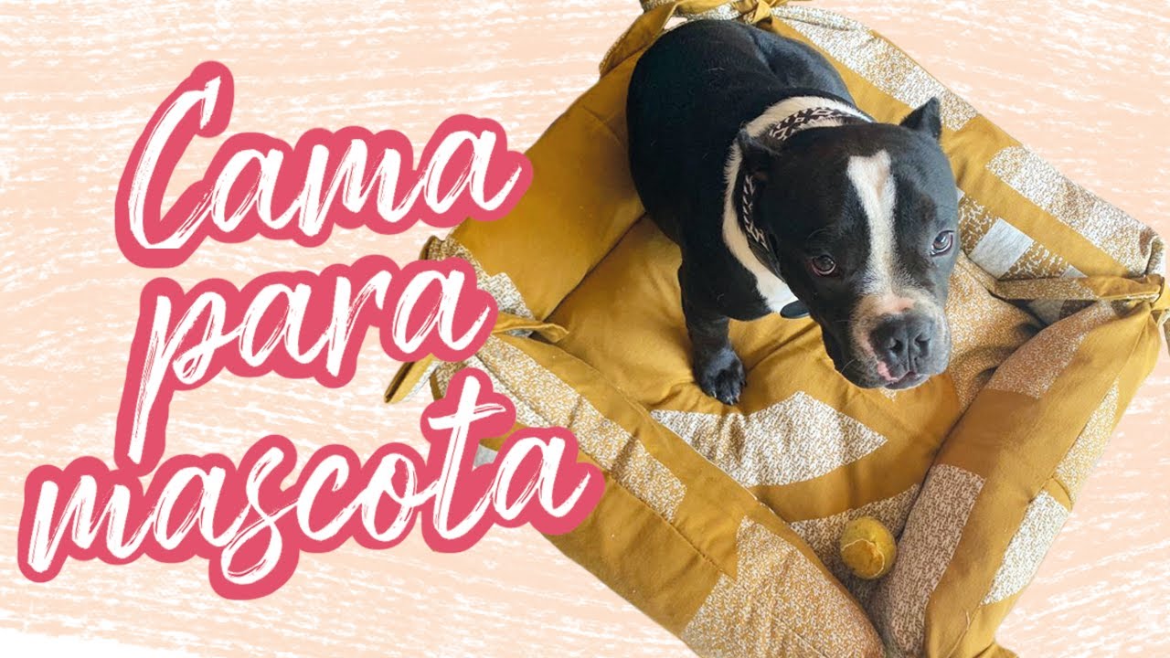 Como hacer una CAMA PARA PERRO/ GATO MASCOTA //// Hecha SOLO $80 - YouTube