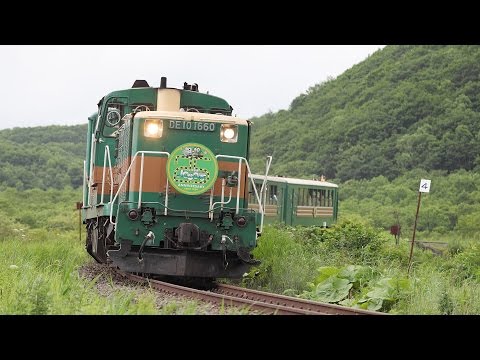 *ぴこた J,R,H くしろ湿原ノロッコ号】 祝25周年ヘッドマーク付! DE10 1660