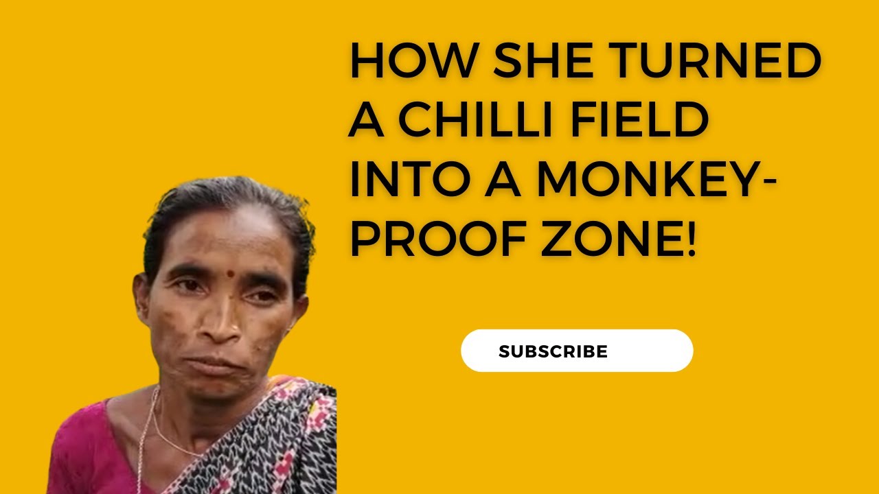 How this Oriya Farmer Got Rid of Monkeys,Pests in Her Chilli fields using Herboliv+ Animal Repellent