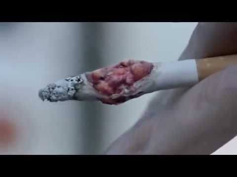 فيديو: التبغ المعطر - زخرفة أي فراش زهرة