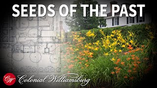Seeds of the Past: Unearthing Colonial Williamsburg's Gardens