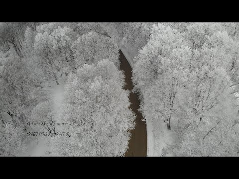 Winter in Georgia Mountain - Sabaduri Forest - თოვლიანი საბადური