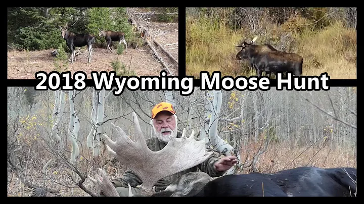 Moose Hunt 2018