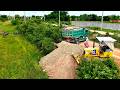 Incredible DOZERD31PX Clearing Forest Step by Step & Truck Unload & Start NEW Of Landfilling