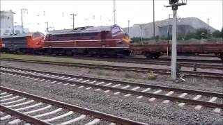 Nohab Clr My1151 Altmark Rail, My1131 U. 346 502-7 Der Ebs Bei Rangierarb.