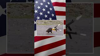 My Ultimate American #Cybertruck Experience!