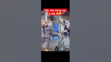 Việc nhẹ lương cao là đây chứ đâu 😂😂