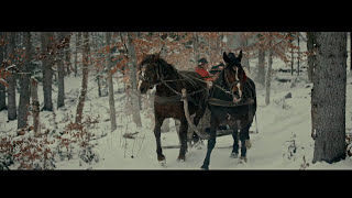 Іван Пилипець - Карпатський Чардаш | Ivan Pylypets - Carpathian czardas 2016