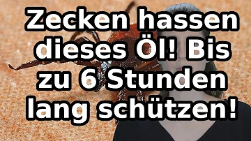 Welches Öl hassen Zecken?