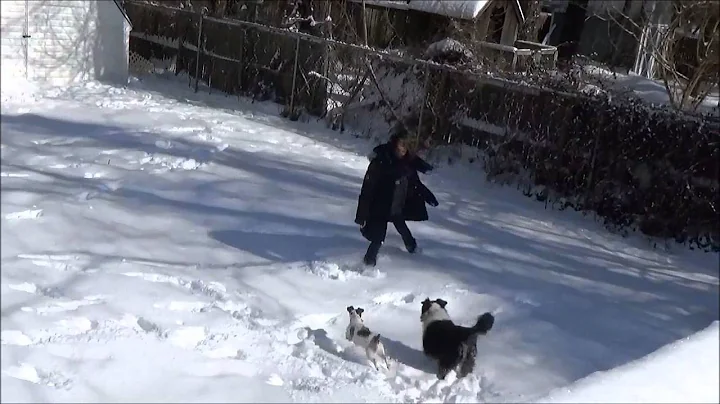 snowday17feb2015
