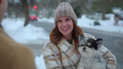 A Royal Christmas Tail (2025) | Trailer | Brittany Underwood, Jonathan Stoddard