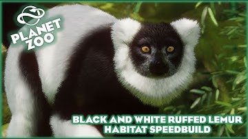 Black and White Ruffed Lemur Habitat Speed Build!!! Planet Zoo