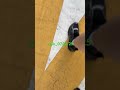 ep.5