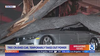 Tree crashes down onto car, knocks out power in Encino