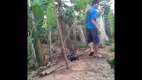 Cách quăng chài chi tiết nhất