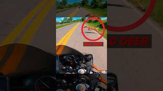 Motorcyclist Hits a Deer But Manages To Stay Upright 🏍️