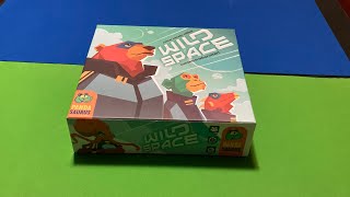 Wild space solo gameplay
