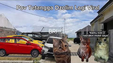 Lagi Viral ‼️Pov Yai Mim vs Sahara Rental Mobil | Tetangga Dzolim Part 1 | Meme Kucing