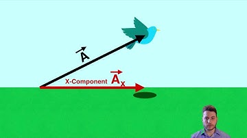 X and Y Components of Vectors - IB Physics