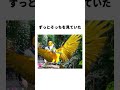 これはペットを飼っている人ですか？#事件
