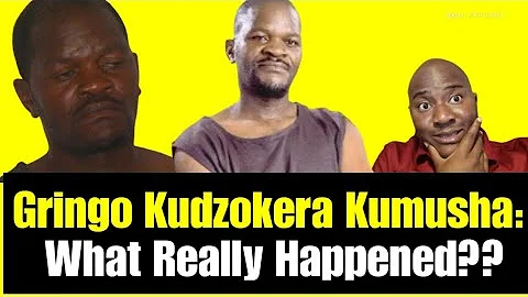 Gringo Akadzokera Kumusha | What Really Happened?