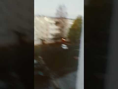 Дятьково утра (Брянская область)