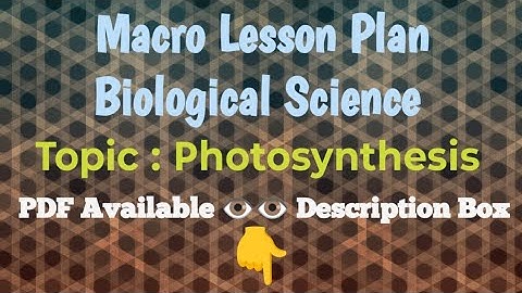 Biological Science/Macro Lesson Plan/Topic-Photosynthesis/Class-7th/B.Ed./Pdf available