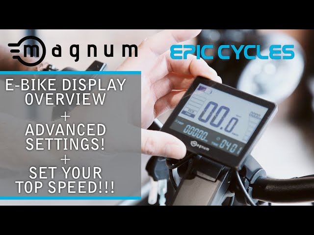 Magnum Display Overview