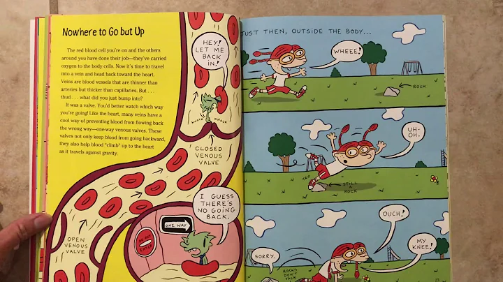 The Circulatory Story by Mary K. Corcoran