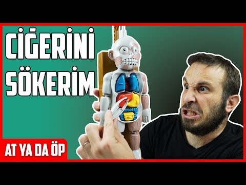 ORGAN OYUNCAĞINI İNCELEDİM | At ya da Öp