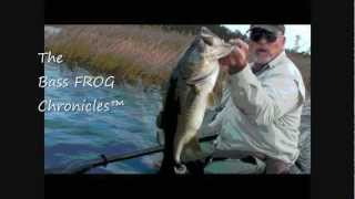 FROG Fishing for Monster Bass on Heavy Grass Edge.wmv